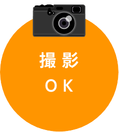 撮影OK